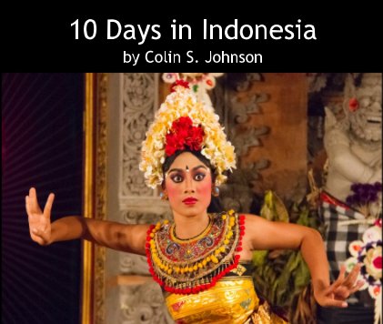10 Days in Indonesia book cover