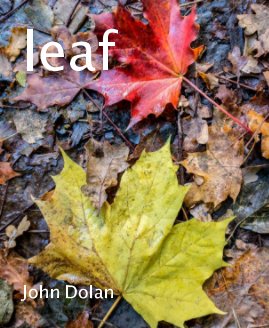leaf book cover