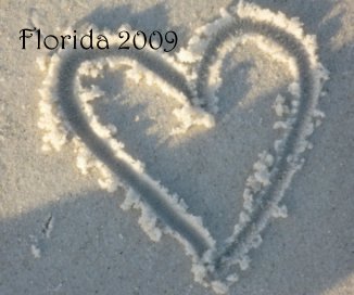Florida 2009 book cover
