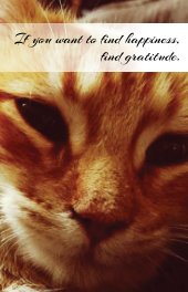 Gratitude Diary 2016 book cover