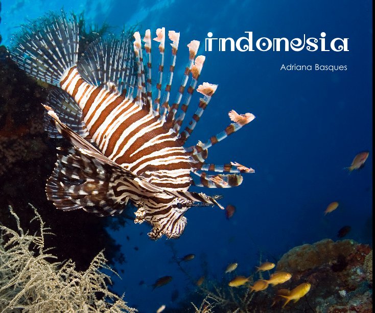 View Indonesia by Adriana Basques