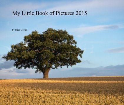 My Little Book of Pictures 2015 book cover