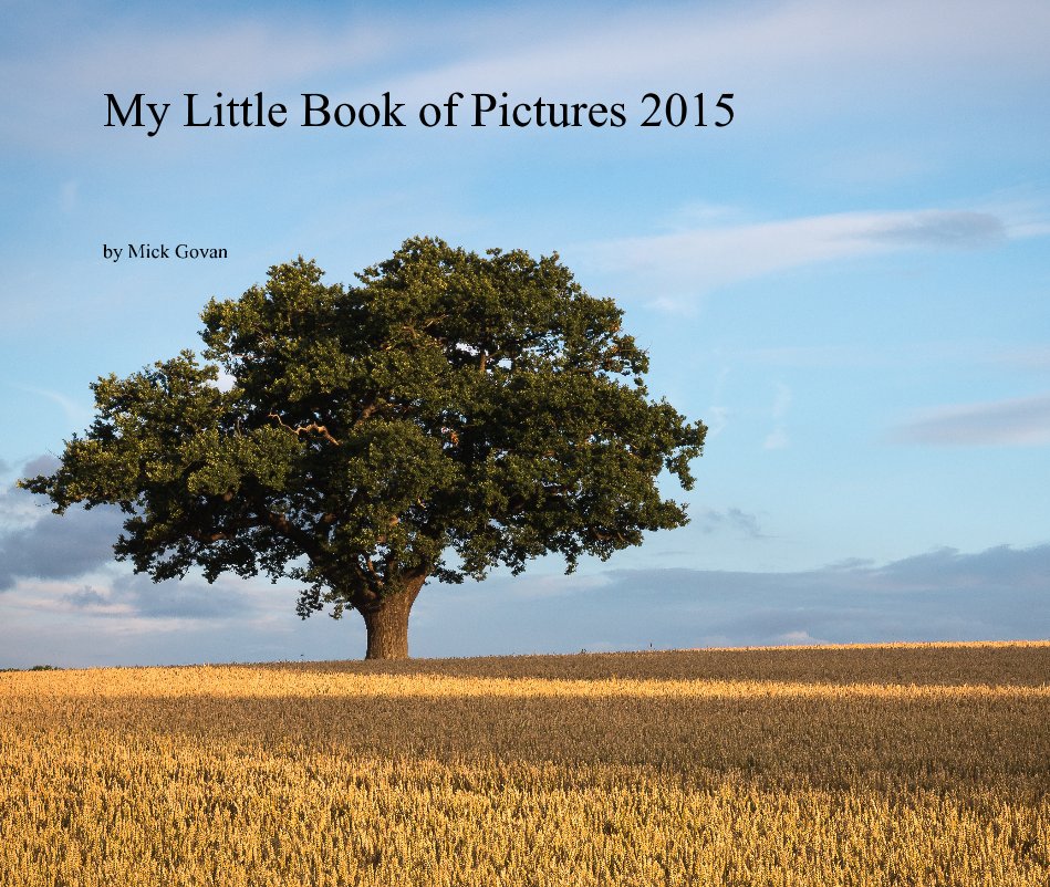 Bekijk My Little Book of Pictures 2015 op Mick Govan