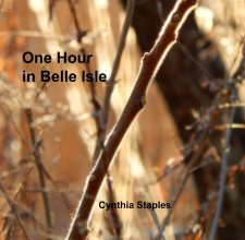 One Hour  in Belle Isle book cover