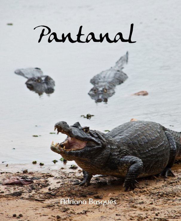 Pantanal nach Adriana Basques anzeigen