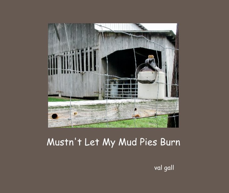 Bekijk Mustn't Let My Mud Pies Burn op val gall