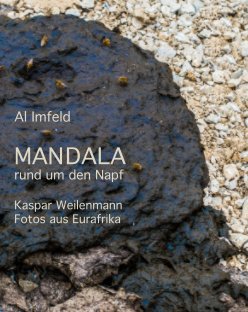Mandala book cover
