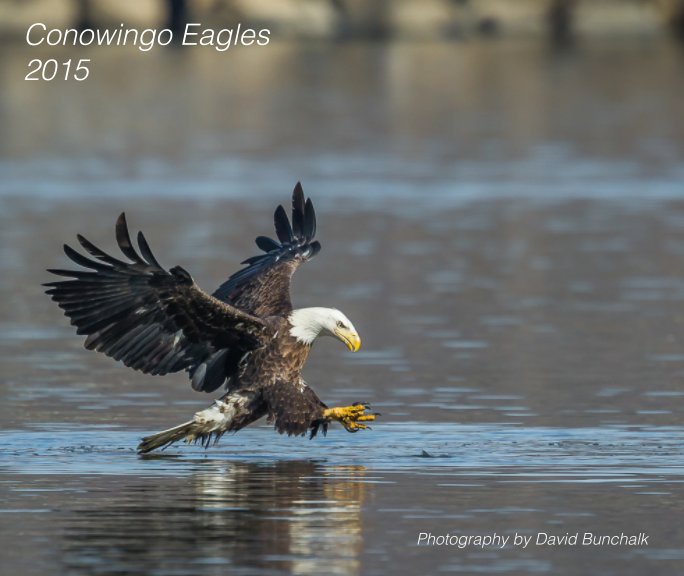 View Conowingo Eagles 2015 by David Bunchalk