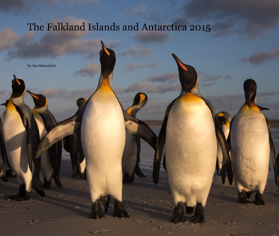 The Falkland Islands and Antarctica 2015 nach Jan Hannaford anzeigen
