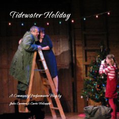 Tidewater Holiday book cover