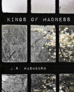 Kings of Madness book cover