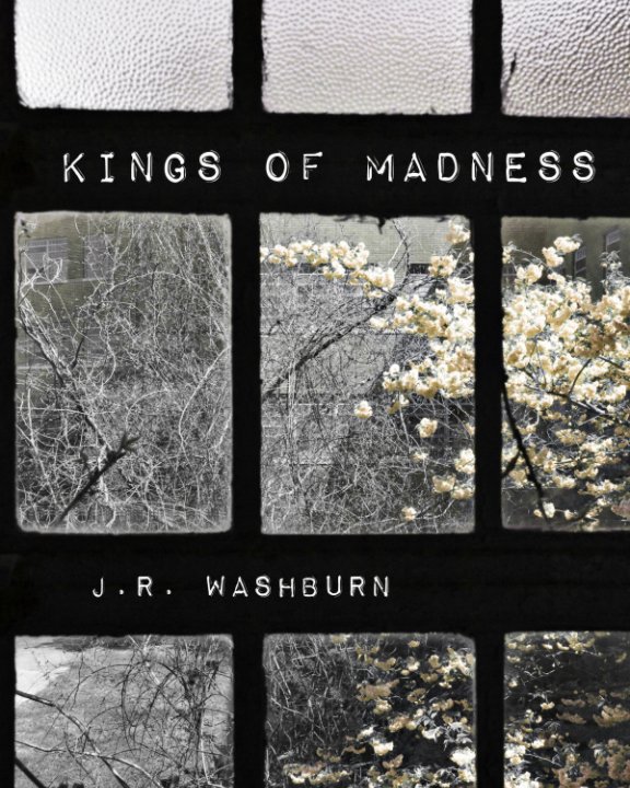 View Kings of Madness by JR Washburn