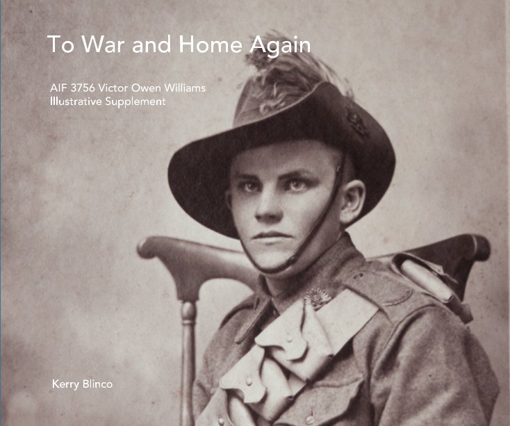 View To War and Home Again by Kerry Blinco