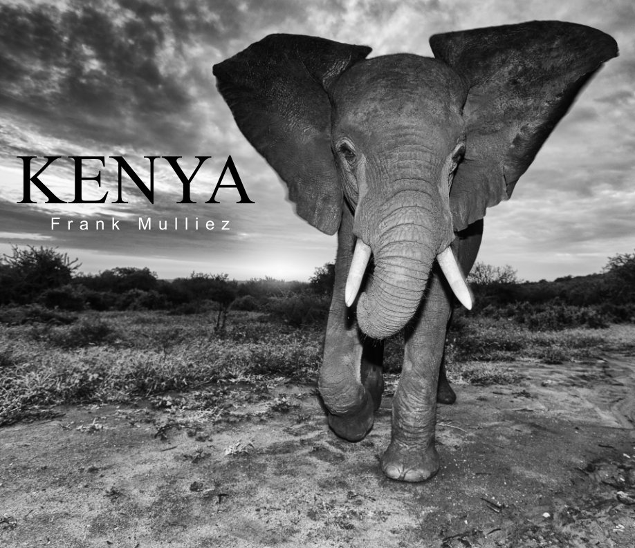 View Kenya by Frank Mulliez