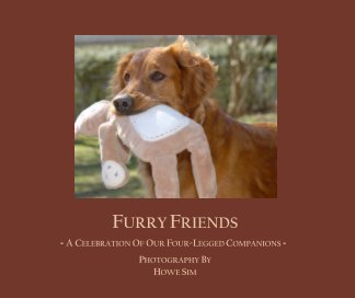 FURRY FRIENDS book cover