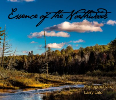 Essence of the Northwoods book cover