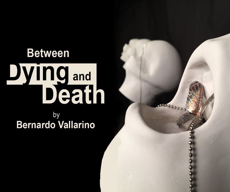 View Between Dying and Death by Bernardo Vallarino
