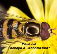 What did Grandpa & Grandma find? book cover