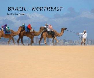 BRAZIL - NORTHEAST book cover