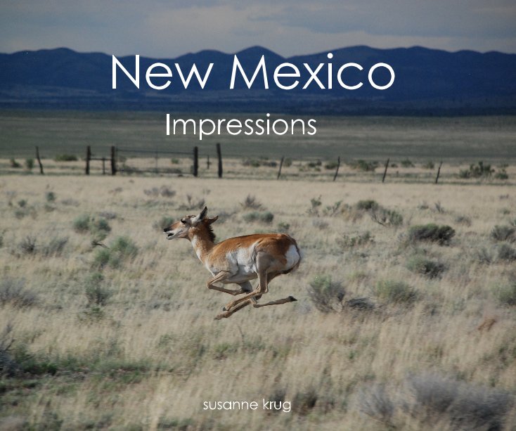 View New Mexico by susanne krug