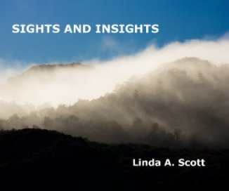 Sights And Insights book cover