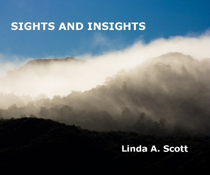 View Sights And Insights by Linda A. Scott