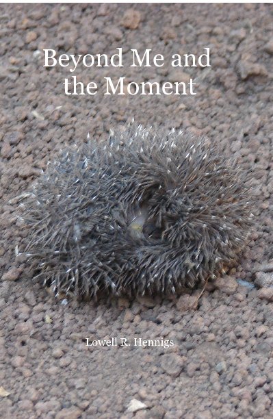 View Beyond Me and the Moment by Lowell R. Hennigs