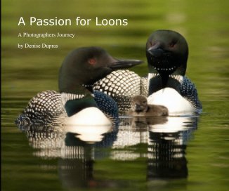 A Passion for Loons book cover