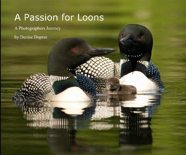 View A Passion for Loons by Denise Dupras