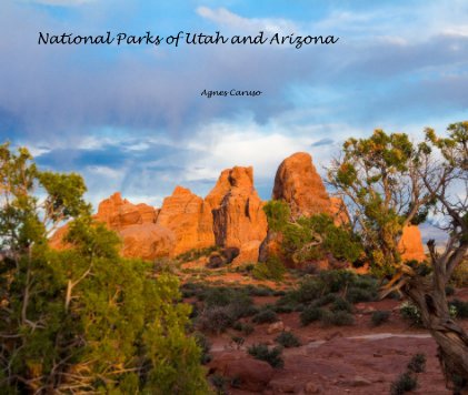 National Parks of Utah and Arizona book cover