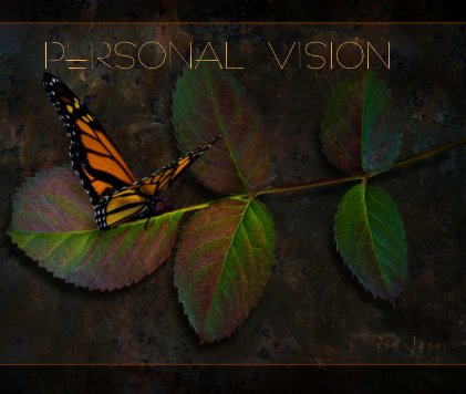 PERSONAL VISION book cover