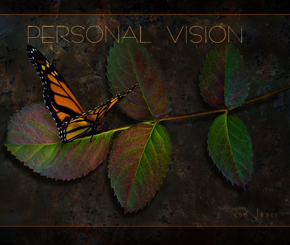 View PERSONAL VISION by ronjones