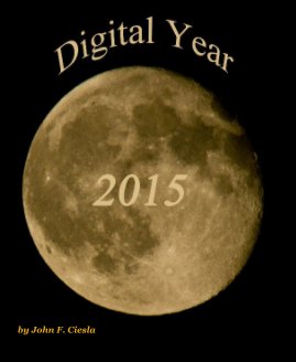 Digital Year 2015 book cover