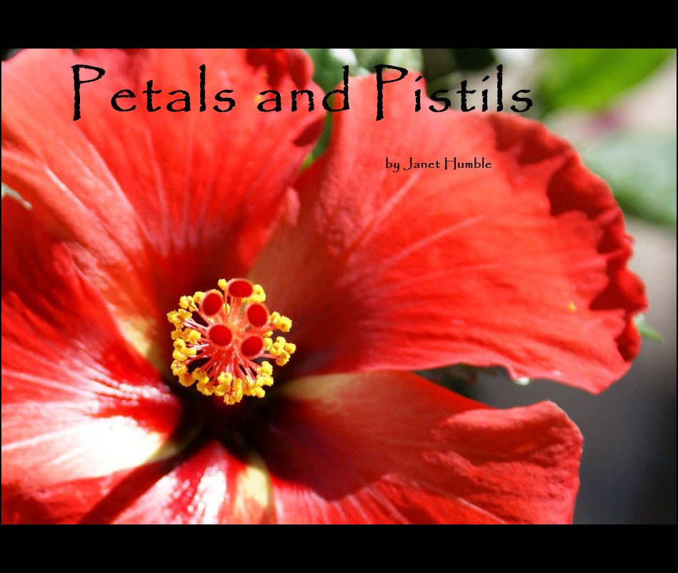 View Petals and Pistils by Janet Humble