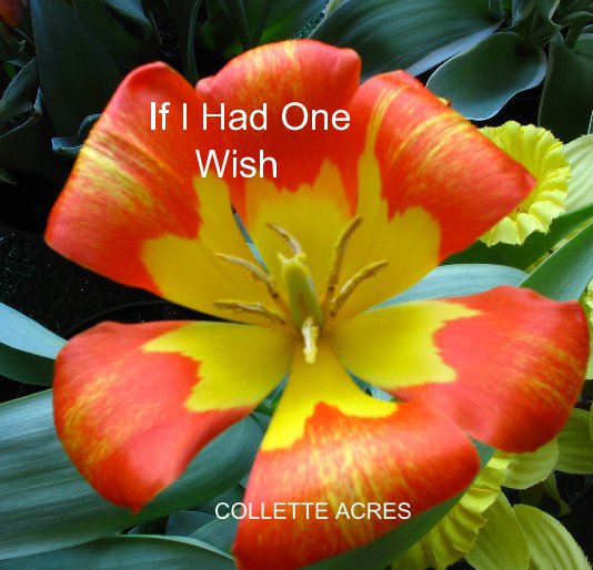 View If I Had One Wish by COLLETTE ACRES