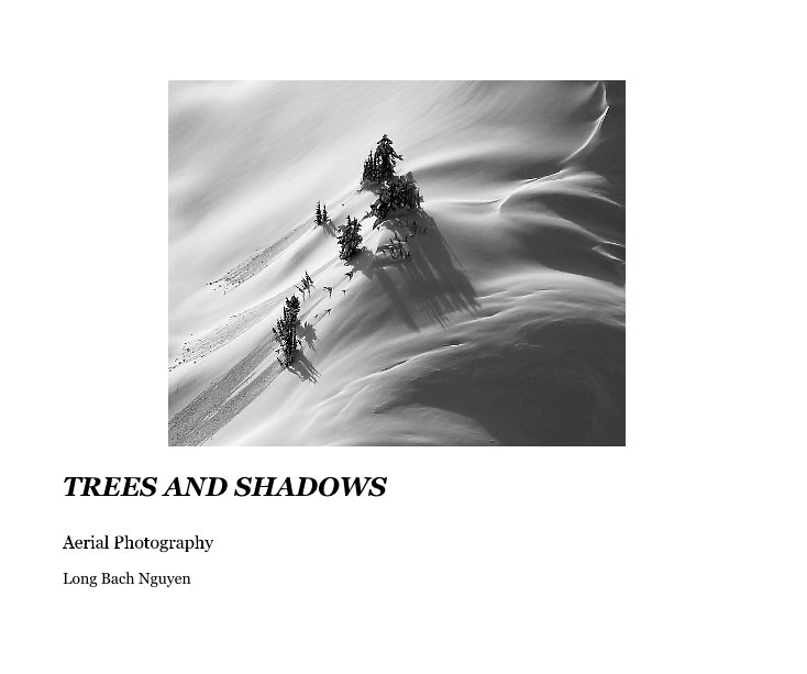 View TREES AND SHADOWS by Long Bach Nguyen