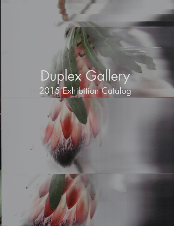 View Duplex Exhibition Catalog 2015 by Duplex Gallery