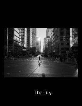 The City book cover