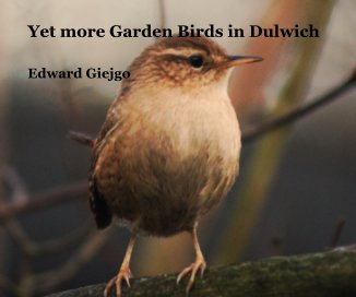 Yet more Garden Birds in Dulwich book cover