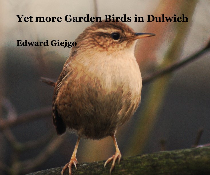 View Yet more Garden Birds in Dulwich by Edward Giejgo