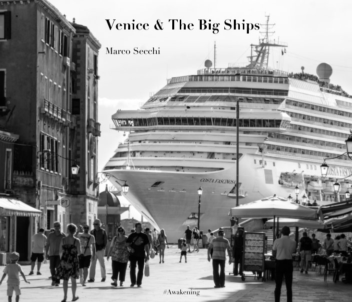 View Venice and the Big Ships by Marco Secchi