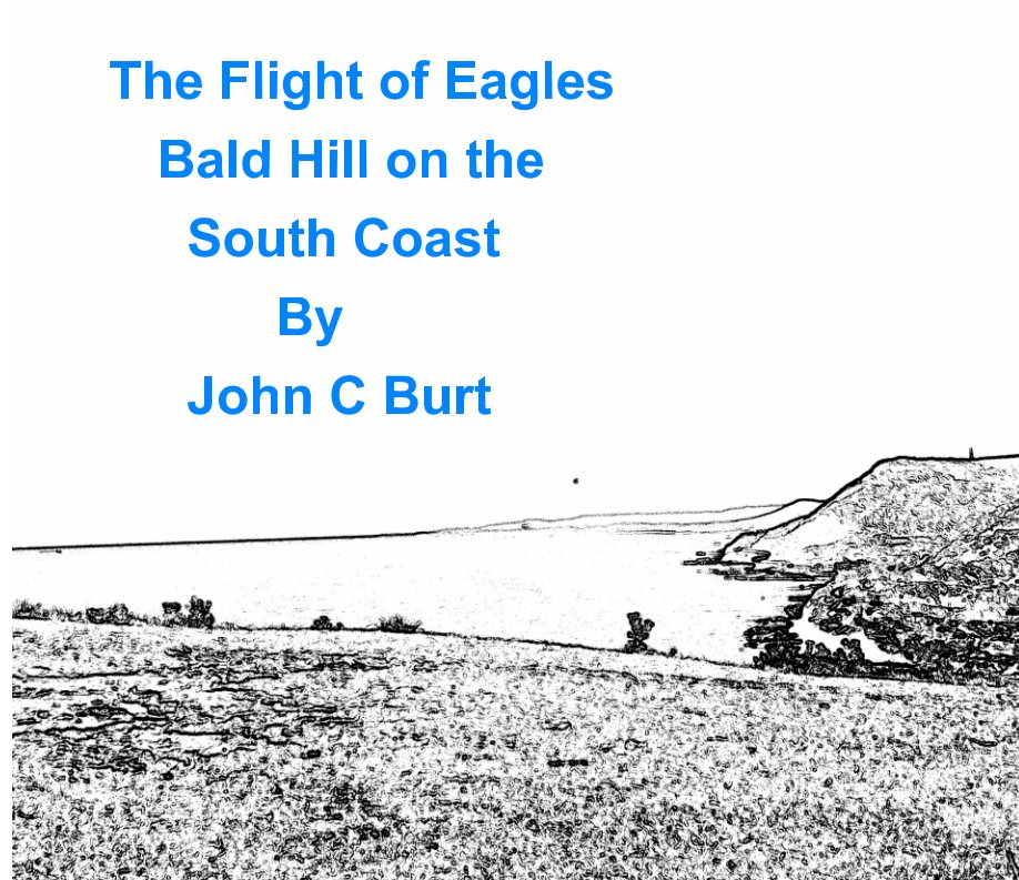 View " The Flight of Eagles " Bald Hill on the South Coast . by John C Burt