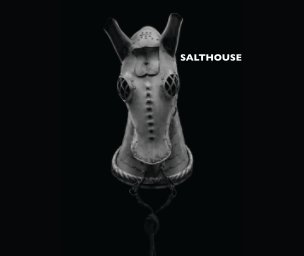 Salthouse book cover