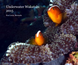 Underwater Wakatobi 2015 book cover