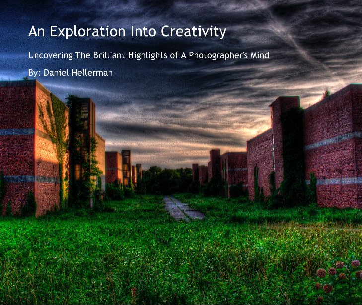 Visualizza An Exploration Into Creativity di By: Daniel Hellerman