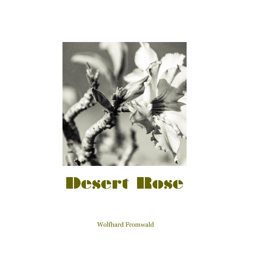 Ver Desert Rose por Wolfhard Fromwald