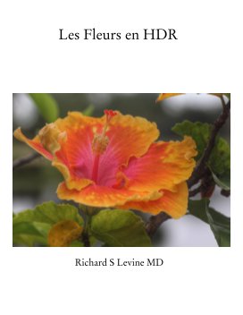 Les Fleurs en HDR book cover