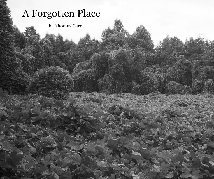 Ver A Forgotten Place por Thomas Carr