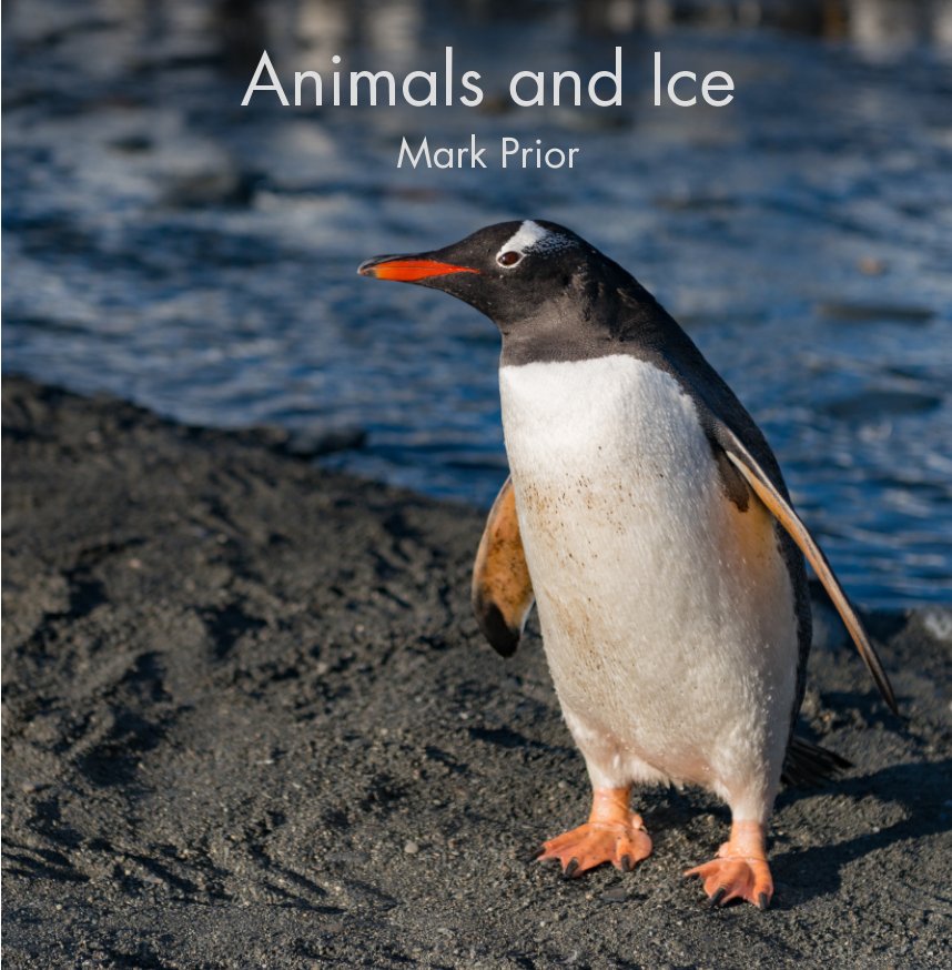 View Animals and Ice by Mark Prior