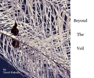 Beyond the Veil book cover